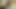 本物のレズビアンとセックスしてみませんか?