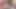 Yeni öğrenci külotu dolduruyor öpüşme için 4k tenga yumurta sürprizi