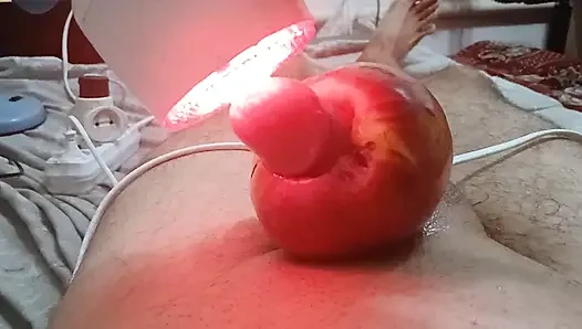 Cennet elması çok eğlenceli