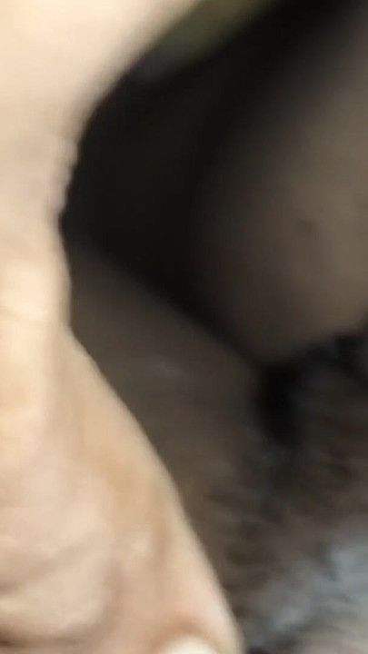 Desi bhabhi ka gand mara | Clip 2