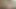 GERMAN Dirty Talk with Big Cock, Precum and Cumshot