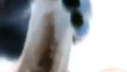 sri lankan invert jerking