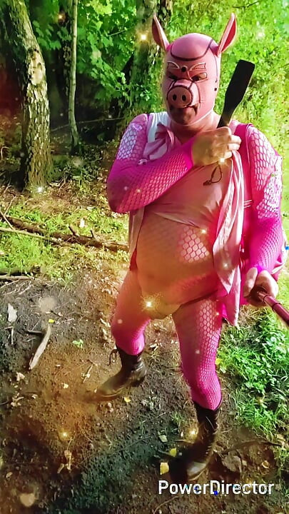 Debela sissy svinja