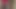 Mate, Ehefrau mit einem Spielzeug