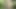 A Russian nudist walks around completely naked in nature