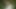 I give in the ass in a forest glade