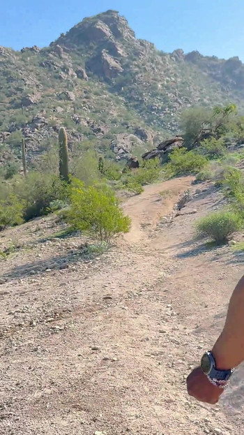 Ebony Couple Hiking Fresh Air and Pornstars