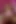 Seksi grup seks partileri sahne 4_sexy büyük memeli azgın kadınlar grup sekste boşalmanın tadını çıkarıyor