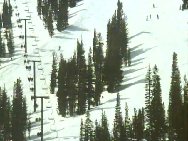 HD VIDEO 7