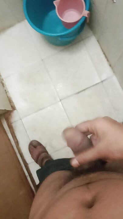 India cock