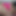 BBW Latina Making Delicious BJ