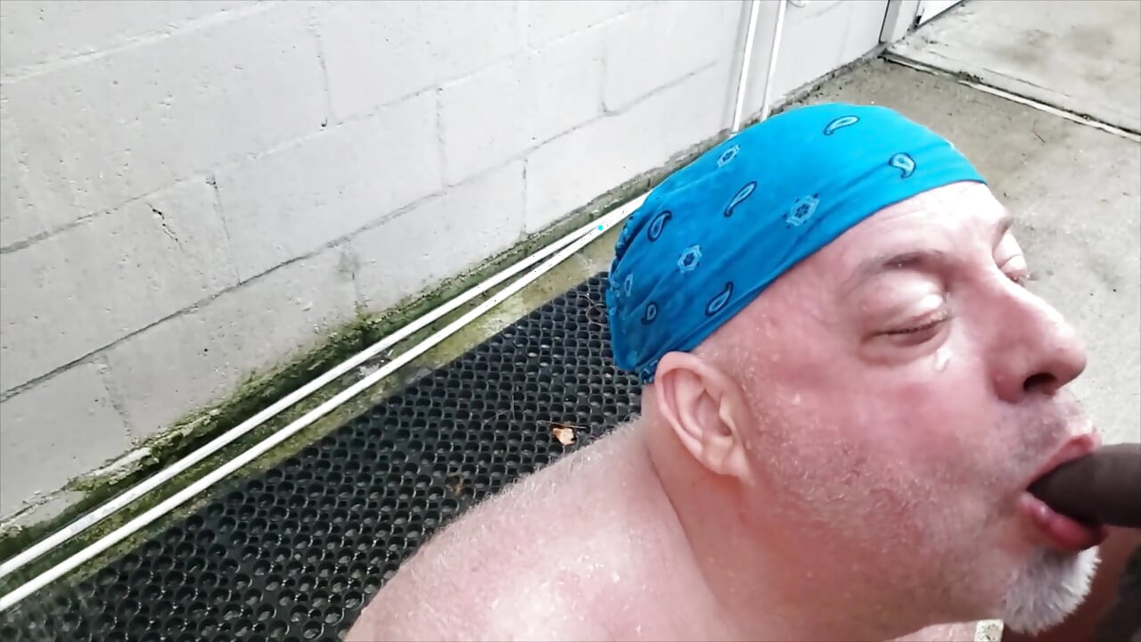 Bear Gets Pissed on by BBC