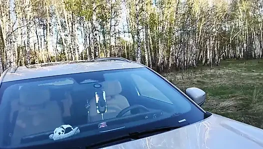 in the forest on a car