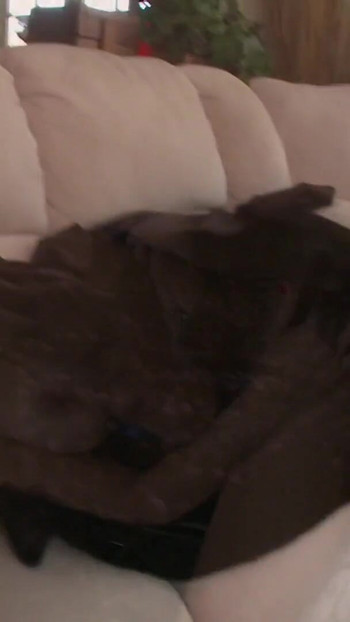 Unforgettable moment from "Curvy brunette MILF gets fucked by a young dude on the sofa"