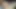 Talking, precum play, teasing and hot cumshot