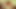 Indian Hot Aunty Sex With Uncle