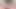 Blowjob Titty POV