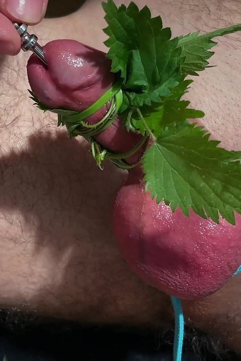 Cum with Nettles Inside Dick