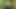andkvcat – cute boy peeing in the forest