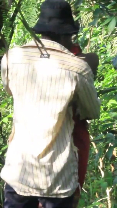African girl in search of firewood in the bush got fuck by a bush man | Clip 1