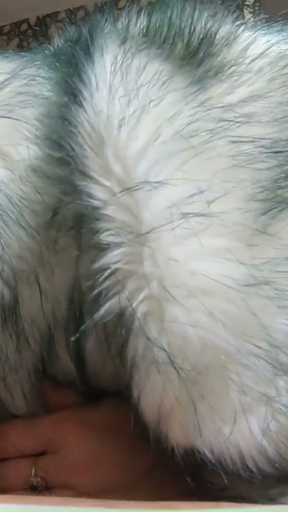 Fur Obsession Continues POV – Bare Hands Handjob, Deepthroat and Cum on My Coat | Clip 1