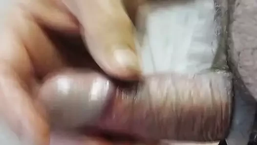 horoz cesaret serbest bırakma