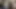 BBW Angelina Castro Gives Tara Lynn Holmes A Blowjob Class!