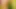 lactating lesbians lorrie lovett
