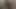Lizzy Yum VR August 2025 Dilating #19