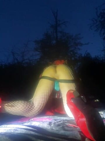 Anal cadela ao ar livre
