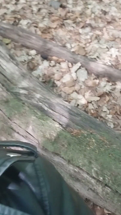 Blowjob and cum in the park | Clip 1