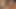 American ANAL slut pounded in the Mexican JUNGLE