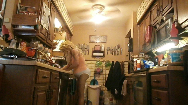 Preggo Housework