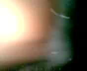 pussy playing 1