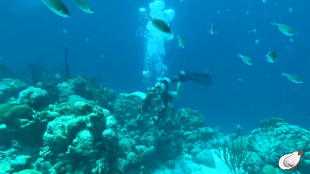 Bonaire'de Alone Time