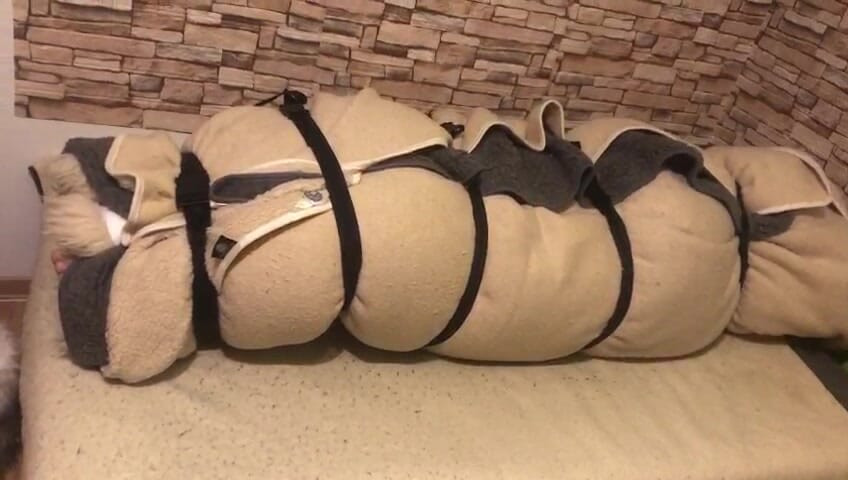 毛皮のオーガズム 6