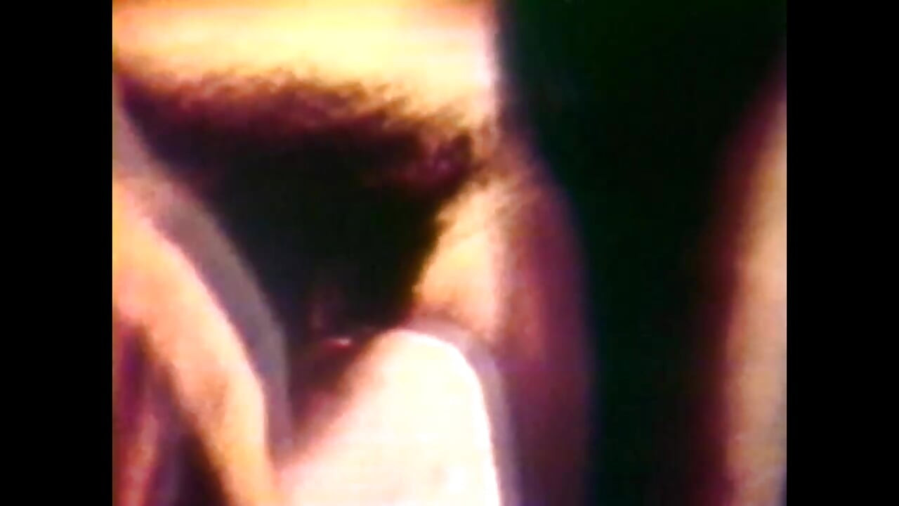 Putas selvagens nojentas