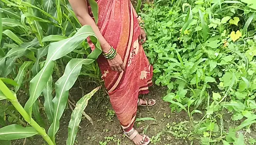 Sister-in-law called me to the field of maize today and sister-in-law sucked my cock and removed the water, then I picked up sister-in-law's two legs and fucked my sister-in-law loudly.