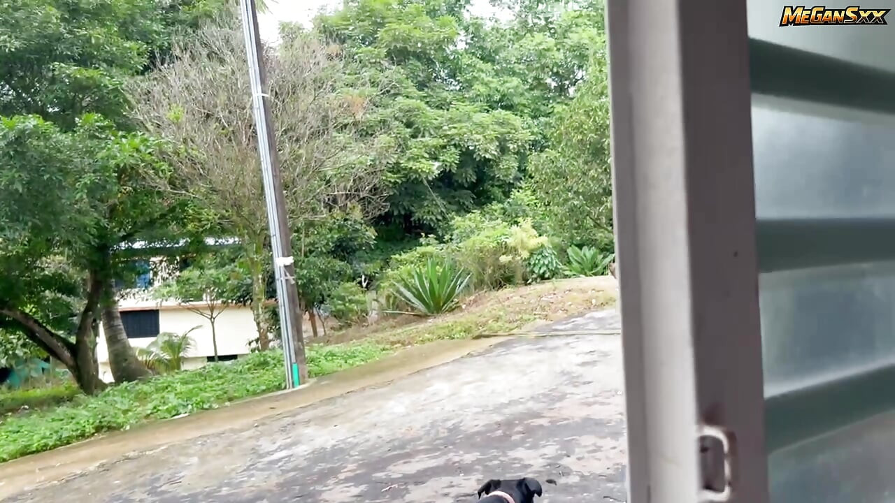 That's how I work with the dog walker.
