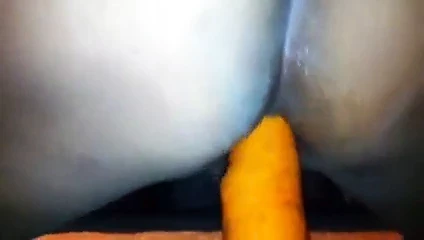 carrot  4