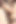 Spamgg69 Hot Big-booty Babe Takes on Two Massive Cocks - Intense Anal, Gaping, and Cum-swallowing Action