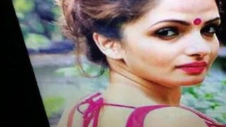 Бенгальская актриса Tanushree, сексуальная блузка, сперма