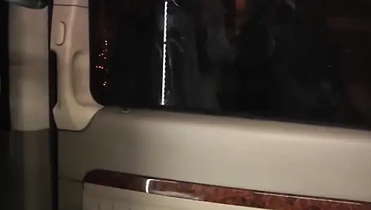 Blonde Fucked Hard in Fick Bus