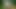 Walking naked in the woods. Soft foreskin to hard big cock