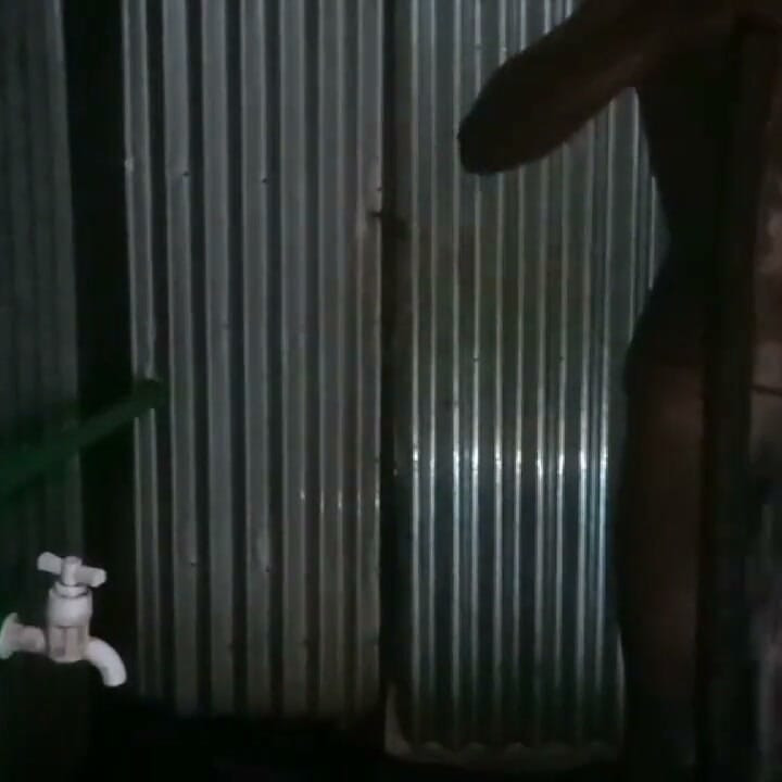 Video selamat pagi