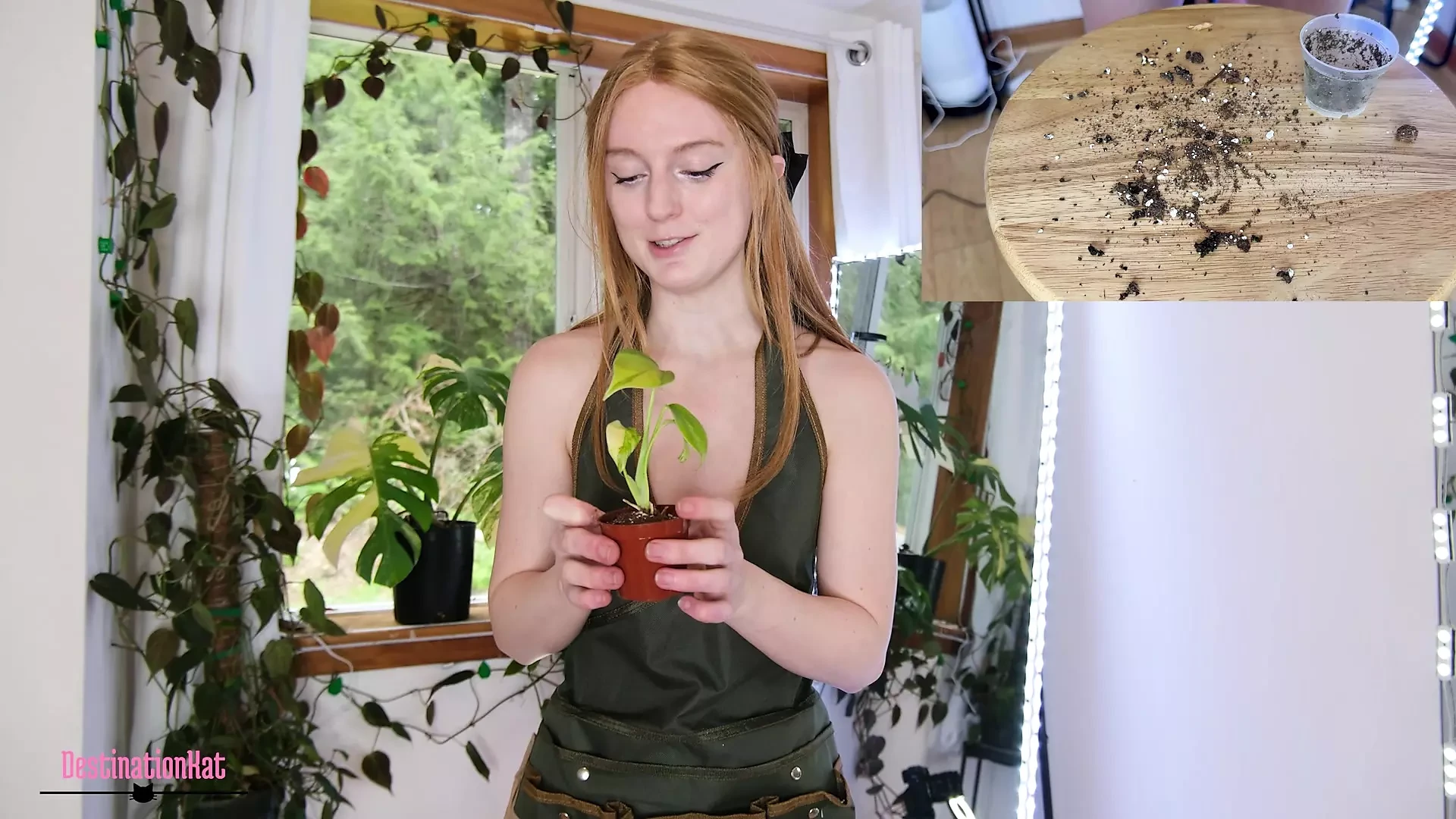 Gardening With Kat- Repotting Monsteras SFW