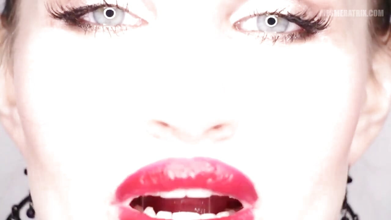 レッドトランス...