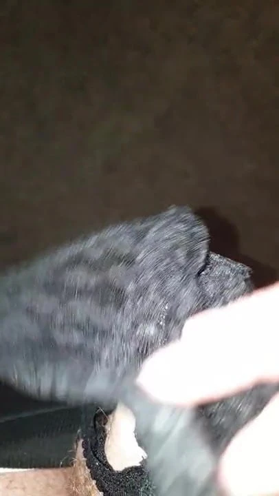 Taken Pantie Wank