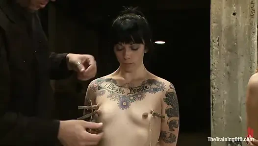 Day 2 February's Final 2 Slaves