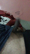 Pregled videozapisa